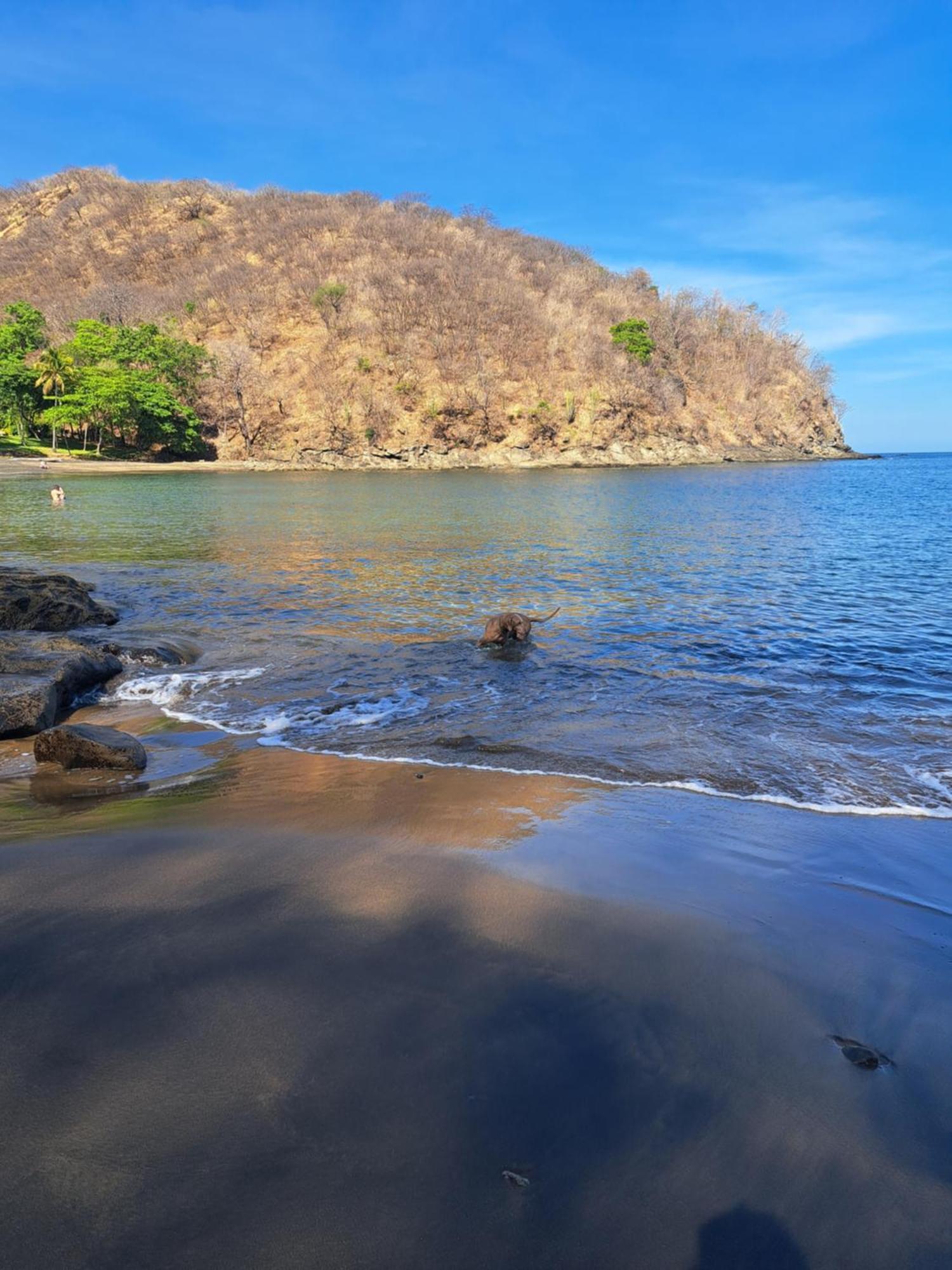 Guesthouse Casa Avi Fauna Playa Ocotal Exterior photo