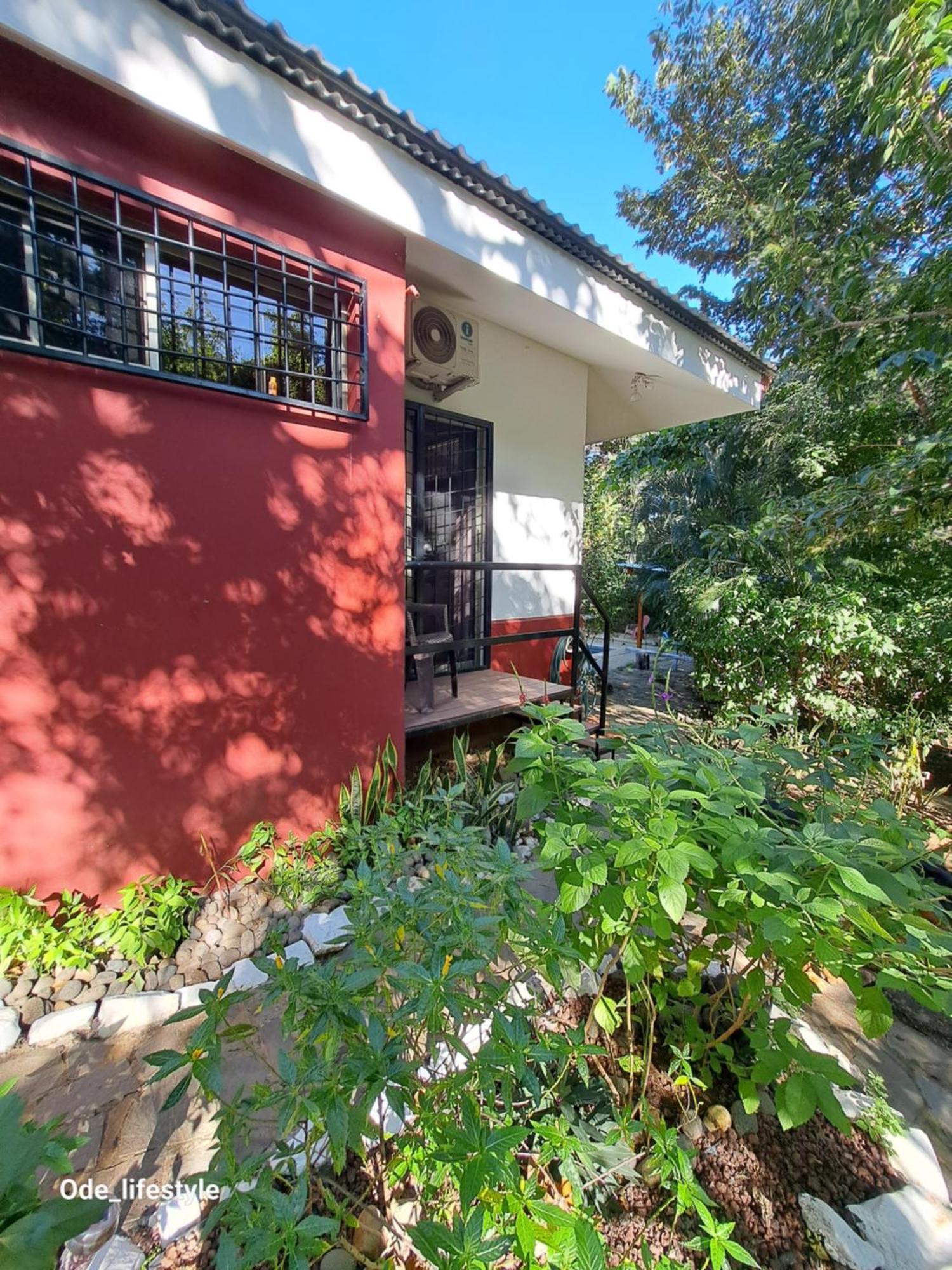 Guesthouse Casa Avi Fauna Playa Ocotal Exterior photo