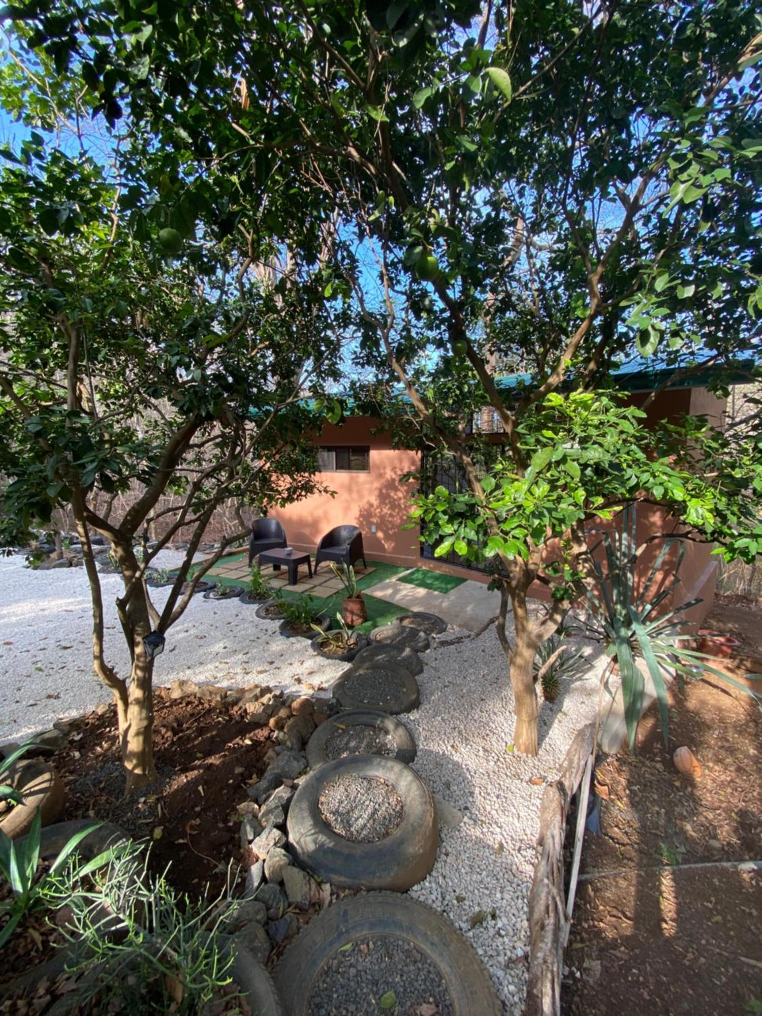 Guesthouse Casa Avi Fauna Playa Ocotal Exterior photo